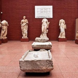 Ephesus & Archeology Museum Tour From Izmir